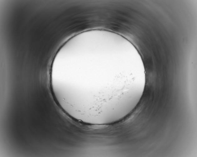X0000088091151200706081745
