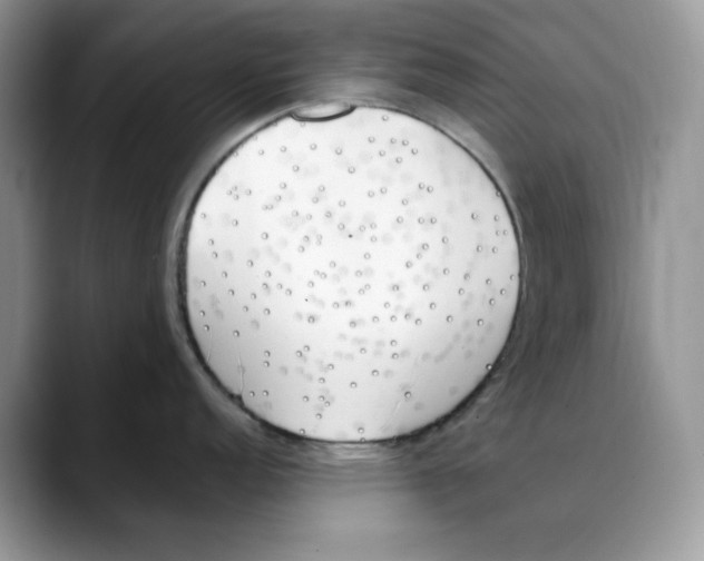 X0000088091152200706081745
