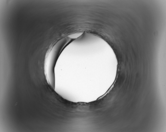 X0000088091153200706081744