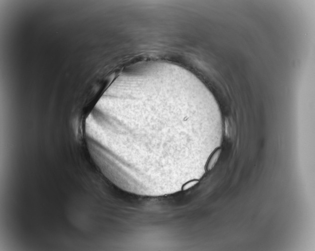 X0000088091155200706081744