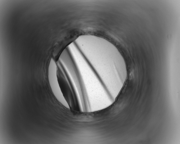 X0000088091156200706081744