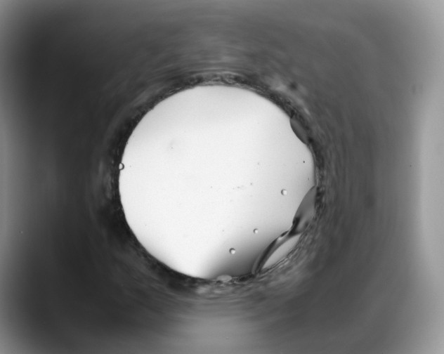 X0000088091159200706081744