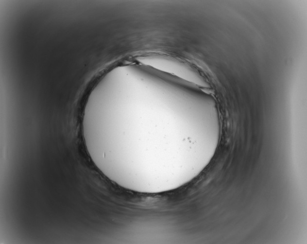 X0000088091160200706081744