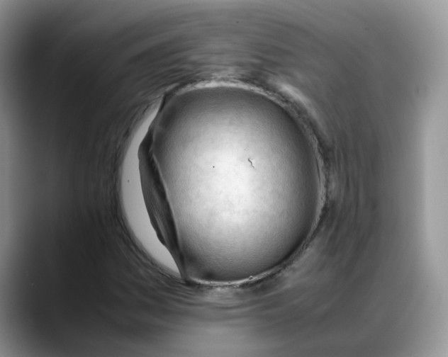 X0000088091161200706081744