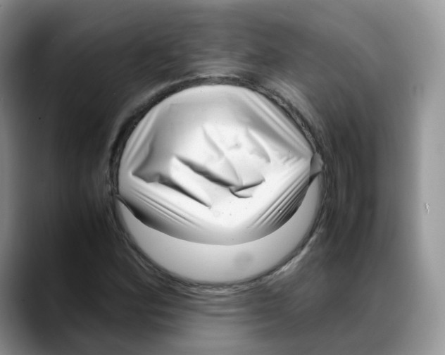 X0000088091164200706081744