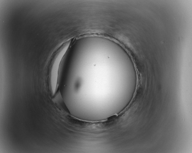 X0000088091165200706081744