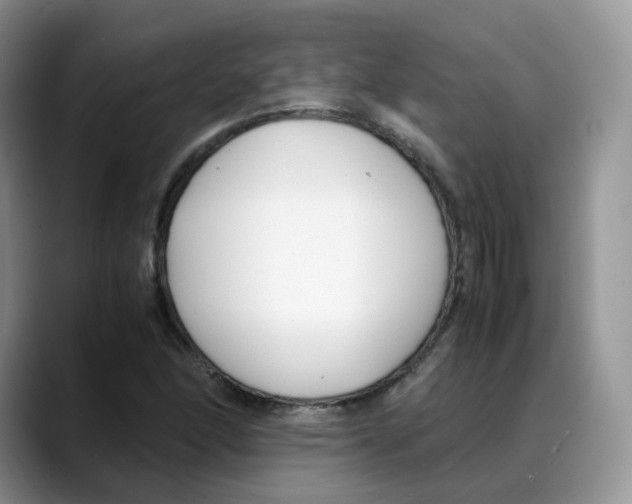 X0000088091166200706081744