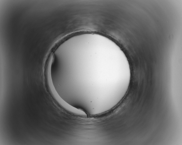 X0000088091168200706081744