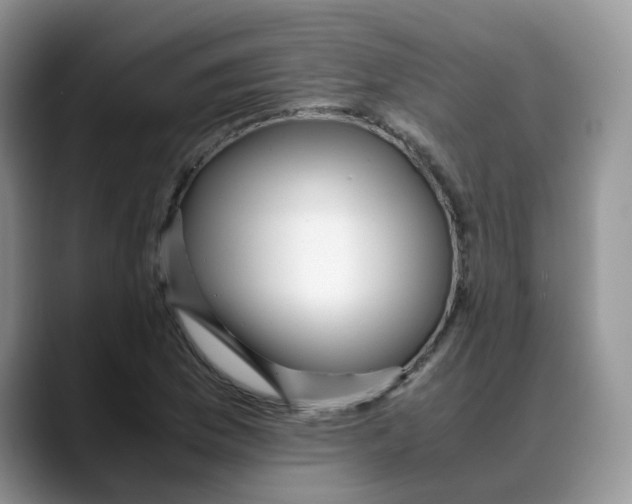 X0000088091169200706081744