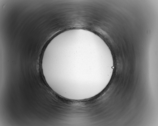 X0000088091170200706081744