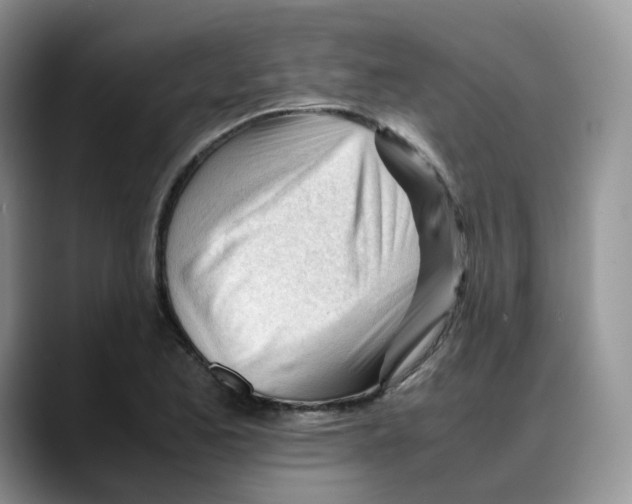 X0000088091173200706081744