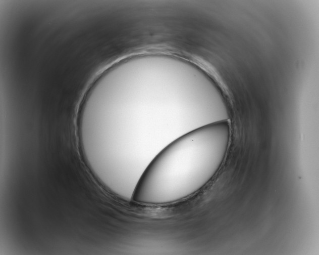 X0000088091176200706081744