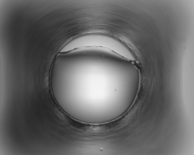 X0000088091177200706081744