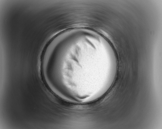 X0000088091179200706081744