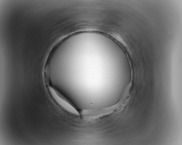 X0000088091181200706081744