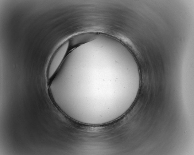X0000088091184200706081744