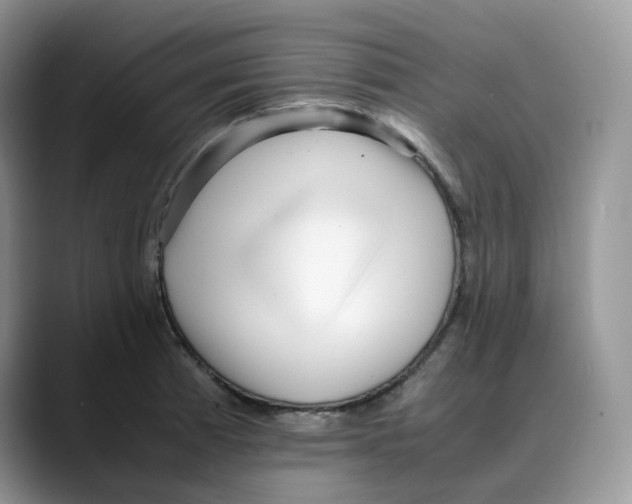 X0000088091185200706081744