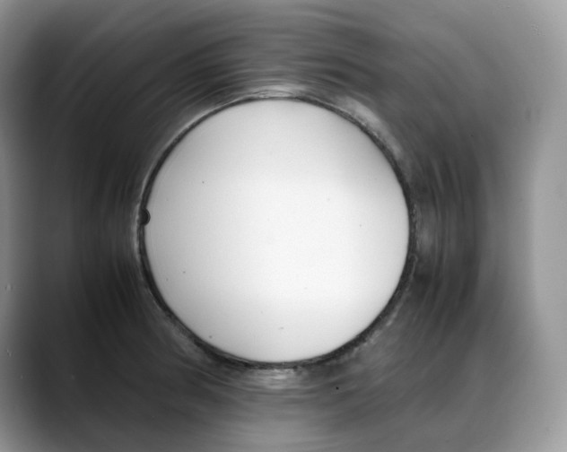 X0000088091186200706081744
