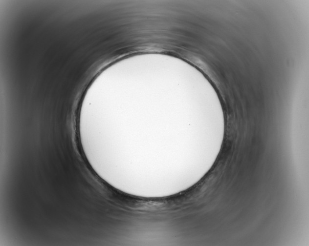 X0000088091187200706081744