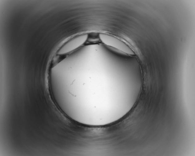 X0000088091188200706081744