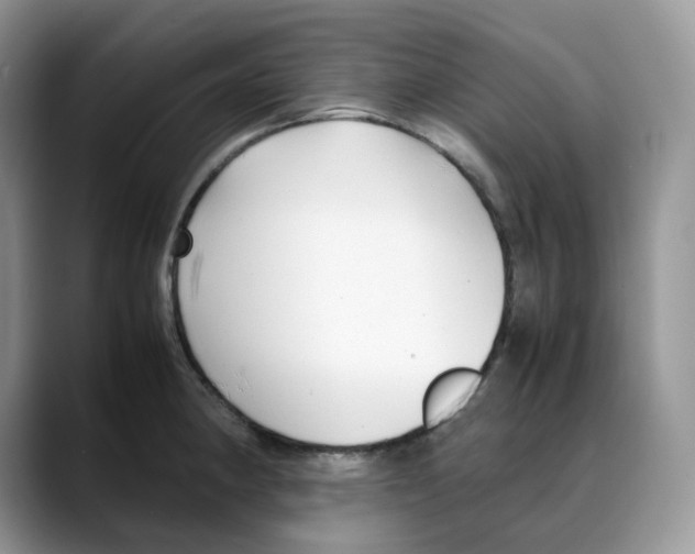 X0000088091190200706081744