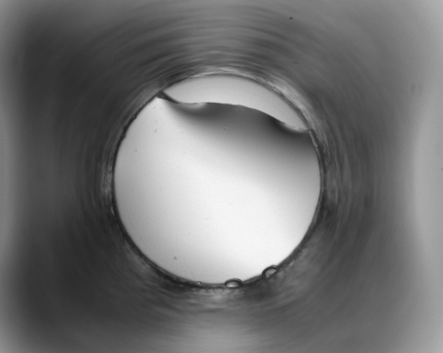 X0000088091193200706081744