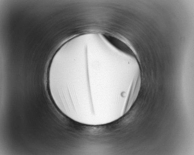 X0000088091195200706081744