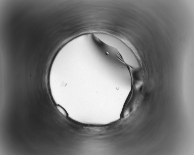 X0000088091197200706081744