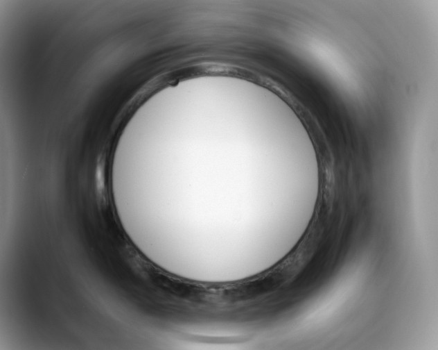 X0000088091198200706081744
