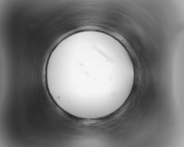X0000088091199200706081744