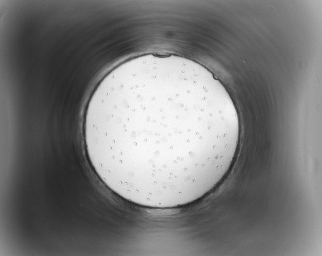 X0000088091200200706081744