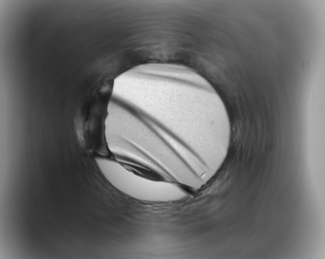 X0000088091202200706081743