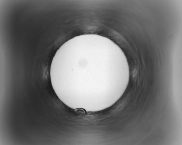 X0000088091204200706081743