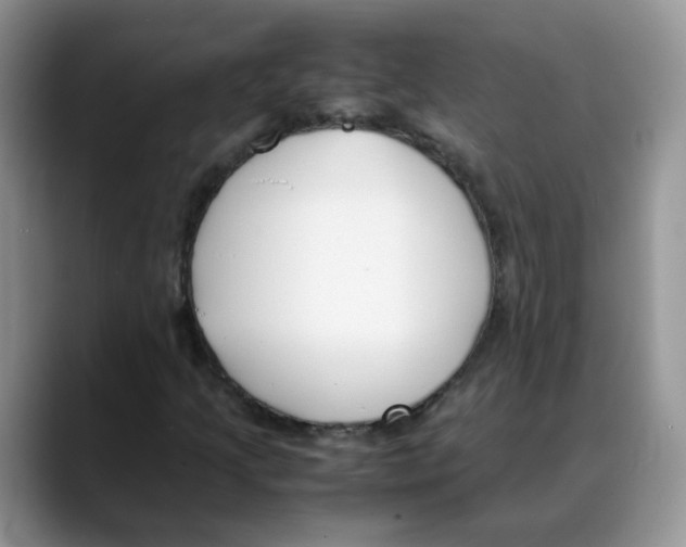 X0000088091205200706081743