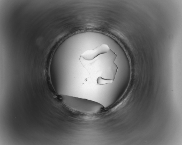 X0000088091210200706081743