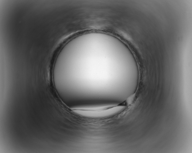 X0000088091214200706081743