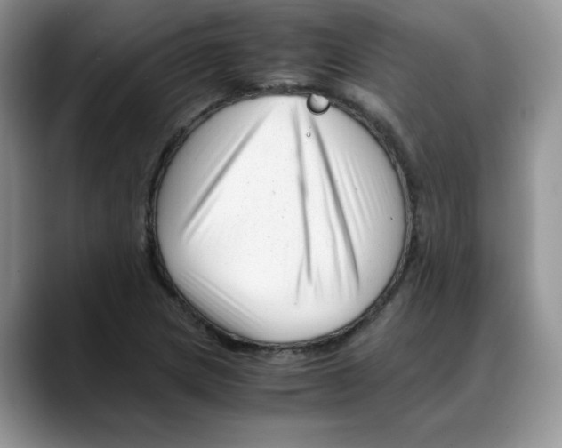 X0000088091217200706081743