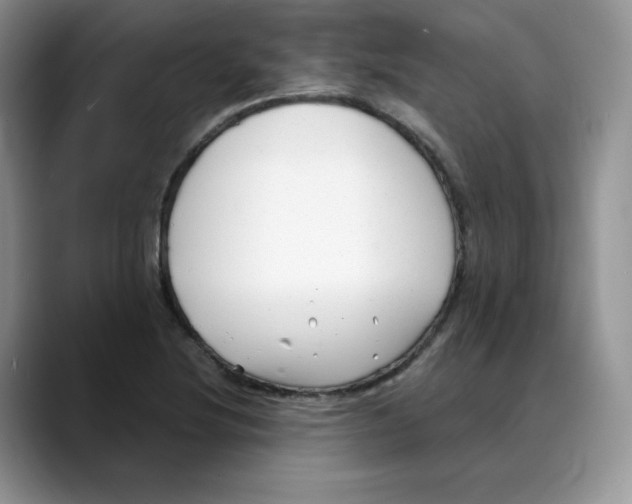 X0000088091220200706081743