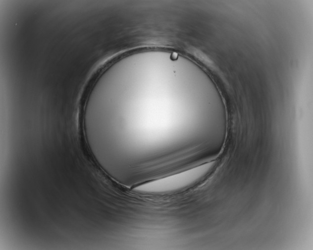 X0000088091222200706081743