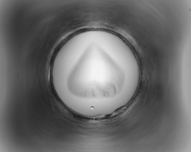 X0000088091224200706081743