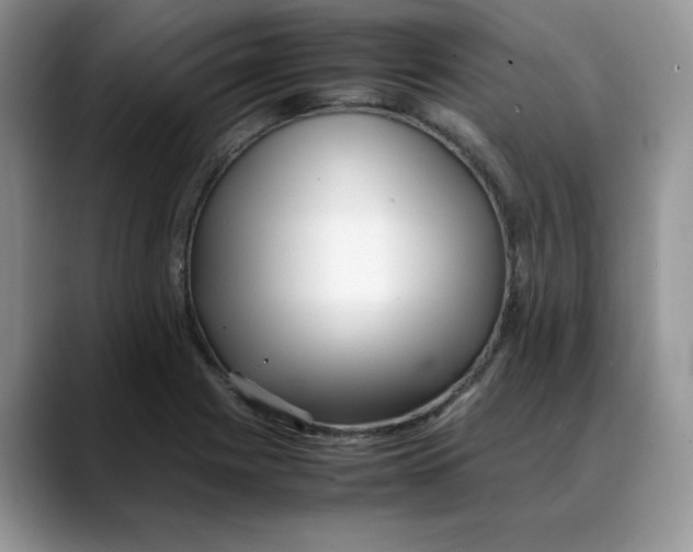 X0000088091225200706081743