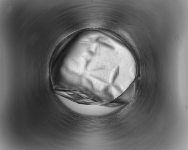 X0000088091226200706081743