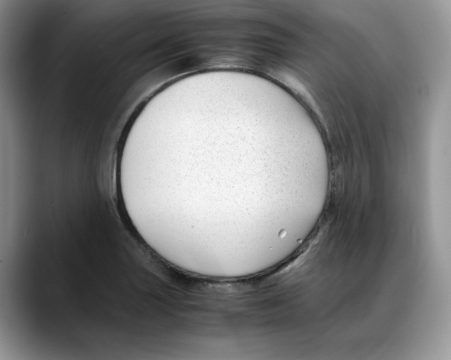 X0000088091227200706081743
