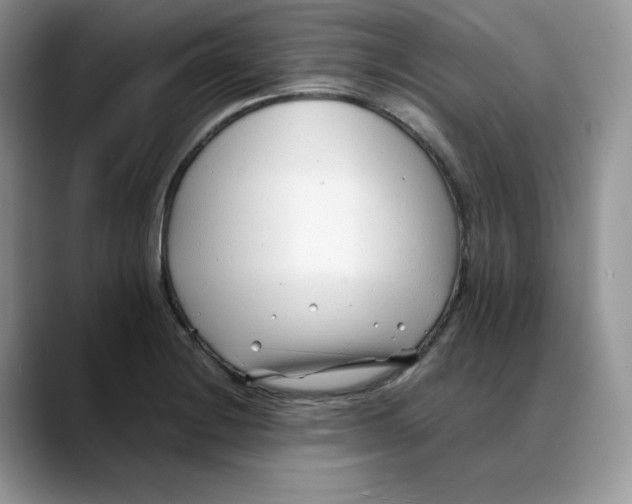 X0000088091228200706081743