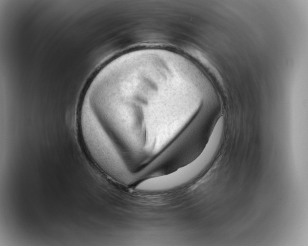 X0000088091229200706081743