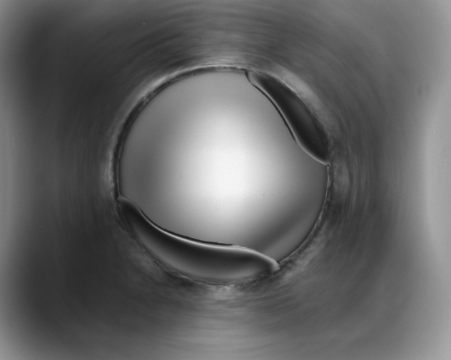 X0000088091230200706081743