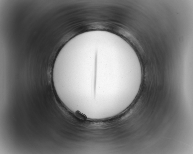 X0000088091233200706081743