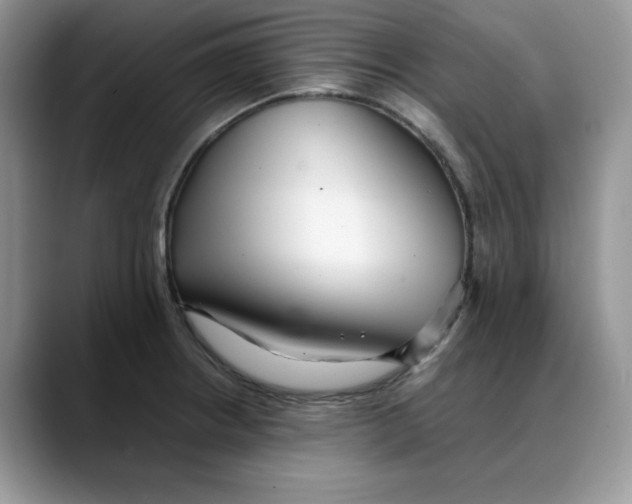 X0000088091234200706081743