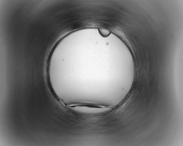 X0000088091235200706081743