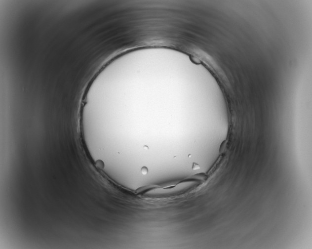 X0000088091236200706081743
